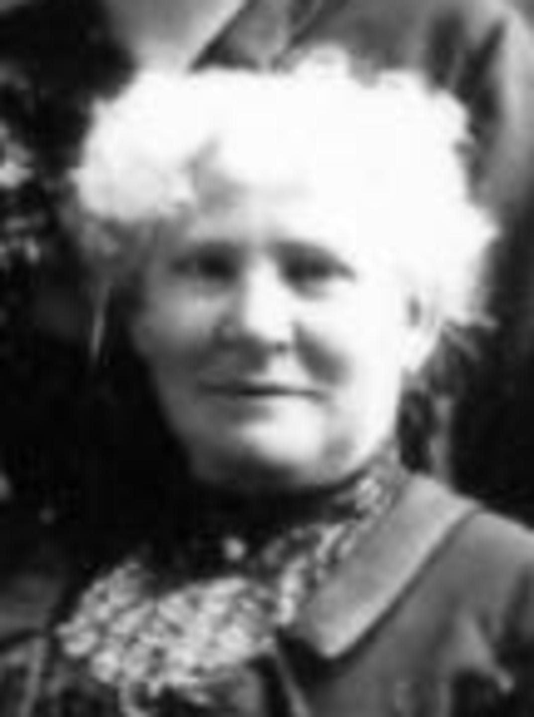 Eliza McMillan (1859 - 1948) Profile